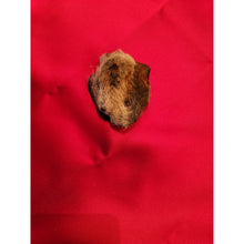 Load image into Gallery viewer, فرج الضبعة الاصلي الروحاني من اندر القطع