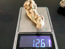 Load image into Gallery viewer, عرق السواحل النباتي الاصلي الطبيعي لاول مرة روحاني نادر جدا فعال وشامل العمل