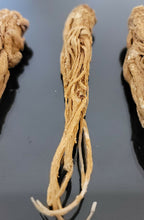 Load image into Gallery viewer, عرق السواحل العرق الشجري الروحاني القفاز النادر جدا بالضمان والتجريب