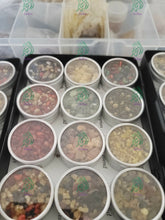 Load image into Gallery viewer, خدمة ختم وتفعيل وتشغيل الاحجار الروحانية والاغراض ببخور تفصيلي شامل عمل روحاني