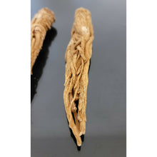 Load image into Gallery viewer, عرق السواحل الشجري عرق السواحل النباتي الروحاني البيع لعرق واحد فقط نادر جدا جدا