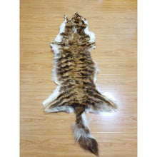 Load image into Gallery viewer, حجاب جلد الضبعة الروحاني الاصلي النادر جدا للمحبة والقبول والهيبة جلد الضبع