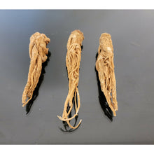 Load image into Gallery viewer, عرق السواحل الشجري عرق السواحل النباتي الروحاني البيع لعرق واحد فقط نادر جدا جدا