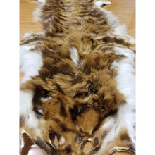 Load image into Gallery viewer, حجاب جلد الضبعة الروحاني الاصلي النادر جدا للمحبة والقبول والهيبة جلد الضبع