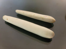 Load image into Gallery viewer, عرق السواحل الابيض الزوج الملكي الانادر ذكر وانثى روحاني فعال مجرب بالضمان