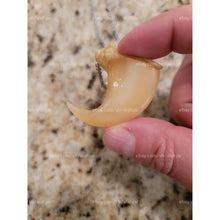 Load image into Gallery viewer, مخلب السبع الروحاني العجيب مخلب الاسدالروحاني الاصلي النادر جدا جدا بالضمان