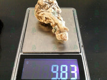 Load image into Gallery viewer, عرق السواحل النباتي الاصلي الطبيعي لاول مرة روحاني نادر جدا فعال وشامل العمل