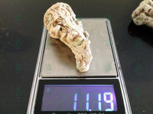 Load image into Gallery viewer, عرق السواحل النباتي الاصلي الطبيعي لاول مرة روحاني نادر جدا فعال وشامل العمل