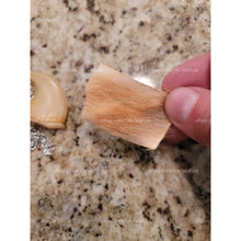 Load image into Gallery viewer, مخلب السبع الروحاني العجيب مخلب الاسدالروحاني الاصلي النادر جدا جدا بالضمان