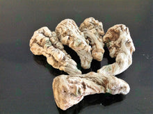 Load image into Gallery viewer, عرق السواحل النباتي الاصلي الطبيعي لاول مرة روحاني نادر جدا فعال وشامل العمل