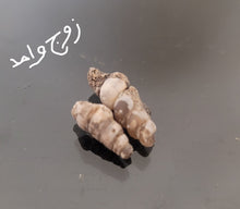 Load image into Gallery viewer, عرق السواحل الزوج الارضي القوقع الطبيعي الروحاني العرق السواحلي