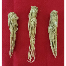 Load image into Gallery viewer, عرق السواحل الشجري عرق السواحل النباتي الروحاني البيع لعرق واحد فقط نادر جدا جدا