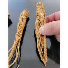 Load image into Gallery viewer, عرق السواحل الشجري عرق السواحل النباتي الروحاني البيع لعرق واحد فقط نادر جدا جدا