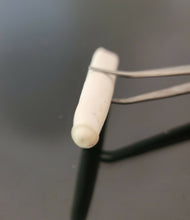 Load image into Gallery viewer, عرق السواحل الابيض الزوج الملكي الانادر ذكر وانثى روحاني فعال مجرب بالضمان