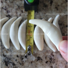 Load image into Gallery viewer, ناب الذئب الاسود العملاق النادر الروحاني والعجيب نادر جدا وخواص رهيبة عدد محدود