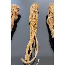 Load image into Gallery viewer, عرق السواحل الشجري عرق السواحل النباتي الروحاني البيع لعرق واحد فقط نادر جدا جدا