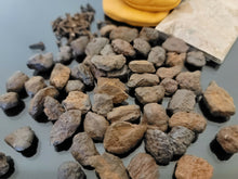 Load image into Gallery viewer, هبهاب روحاني اصلي قديم مجرب وفعال بالضمان ولن تجد مثله لدى اي بائع هبهاب اصلي