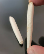 Load image into Gallery viewer, عرق السواحل الابيض الزوج الملكي الانادر ذكر وانثى روحاني فعال مجرب بالضمان