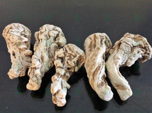 Load image into Gallery viewer, عرق السواحل النباتي الاصلي الطبيعي لاول مرة روحاني نادر جدا فعال وشامل العمل