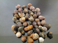 Load image into Gallery viewer, hand made empowered rings from hand selected gobi agate extreemly rare