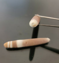 Load image into Gallery viewer, عرق السواحل البحري السواحلي العرق البحري الاصلي الفعال روحانيا روحاني مضمون نادر