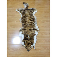 Load image into Gallery viewer, حجاب جلد الضبعة الروحاني الاصلي النادر جدا للمحبة والقبول والهيبة جلد الضبع