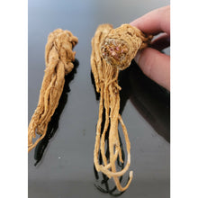 Load image into Gallery viewer, عرق السواحل الشجري عرق السواحل النباتي الروحاني البيع لعرق واحد فقط نادر جدا جدا