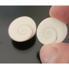 Load image into Gallery viewer, خرزة العطف البحري الروحاني الاصلي المار مهرة او خرزة الحية تتحرك بالخل زوج فعال