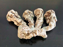 Load image into Gallery viewer, عرق السواحل النباتي الاصلي الطبيعي لاول مرة روحاني نادر جدا فعال وشامل العمل