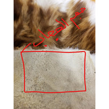 Load image into Gallery viewer, حجاب جلد الضبعة الروحاني الاصلي النادر جدا للمحبة والقبول والهيبة جلد الضبع