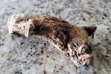 Load image into Gallery viewer, بخور القسط الهندي الاصلي الروحاني العجيب اندر وافضل الانواع بالضمان والتجريب