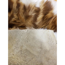 Load image into Gallery viewer, حجاب جلد الضبعة الروحاني الاصلي النادر جدا للمحبة والقبول والهيبة جلد الضبع