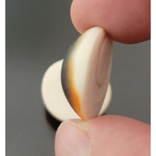 Load image into Gallery viewer, خرزة العطف البحري الروحاني الاصلي المار مهرة او خرزة الحية تتحرك بالخل زوج فعال