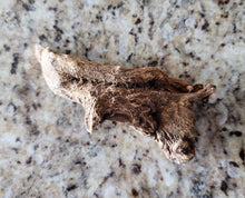 Load image into Gallery viewer, بخور القسط الهندي الاصلي الروحاني العجيب اندر وافضل الانواع بالضمان والتجريب