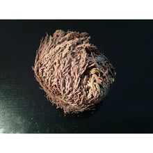 Load image into Gallery viewer, نبات الحياة او نبات سيدنا الخضر - نبات طبيعي روحاني - شيخ روحاني معالج روحاني مركز روحاني علاج روحاني