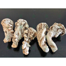 Load image into Gallery viewer, عرق السواحل الملكي النباتي - عرق السواحل - شيخ روحاني معالج روحاني مركز روحاني علاج روحاني