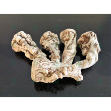 Load image into Gallery viewer, عرق السواحل الملكي النباتي - عرق السواحل - شيخ روحاني معالج روحاني مركز روحاني علاج روحاني