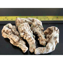 Load image into Gallery viewer, عرق السواحل الملكي النباتي - عرق السواحل - شيخ روحاني معالج روحاني مركز روحاني علاج روحاني