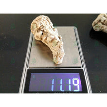 Load image into Gallery viewer, عرق السواحل الملكي النباتي - عرق السواحل - شيخ روحاني معالج روحاني مركز روحاني علاج روحاني