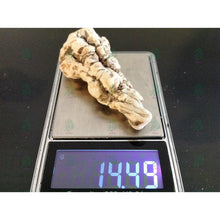 Load image into Gallery viewer, عرق السواحل الملكي النباتي - عرق السواحل - شيخ روحاني معالج روحاني مركز روحاني علاج روحاني